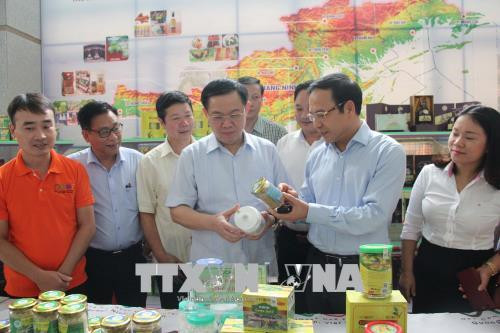 王廷惠： “一乡一品”计划只有起点没有终点 ảnh 2