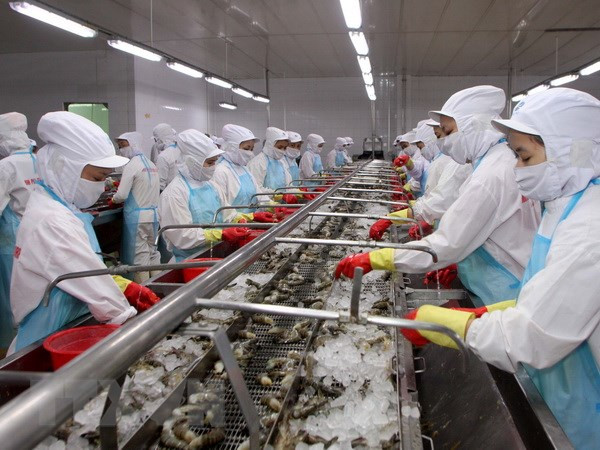 坚江省加大打击IUU捕捞的力度 ảnh 1