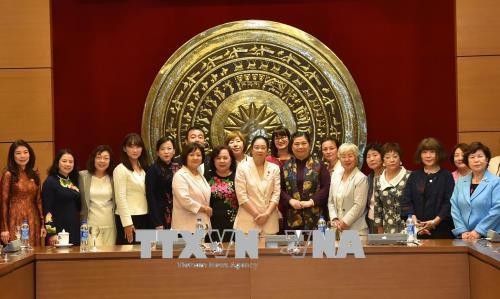 女议员合作是越日两国国会合作的新内容 ảnh 2 女议员合作是越日两国国会合作的新内容 ảnh 2