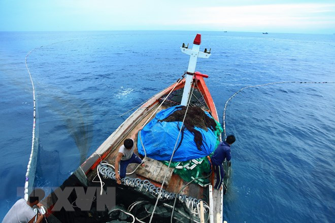 越南力争按照可持续模式发展渔业 ảnh 1