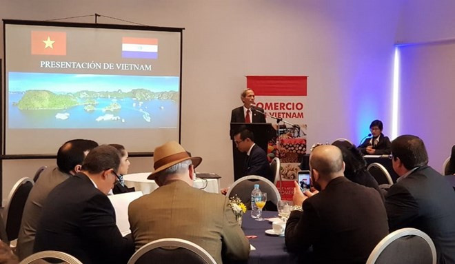 进一步加强越南与巴拉圭的合作 ảnh 2 进一步加强越南与巴拉圭的合作 ảnh 2