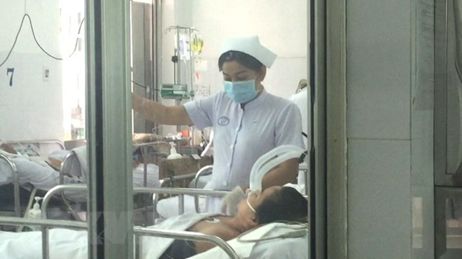 甲型H1N1流感是越南三种季节性流行性流感之一 ảnh 1 甲型H1N1流感是越南三种季节性流行性流感之一 ảnh 1