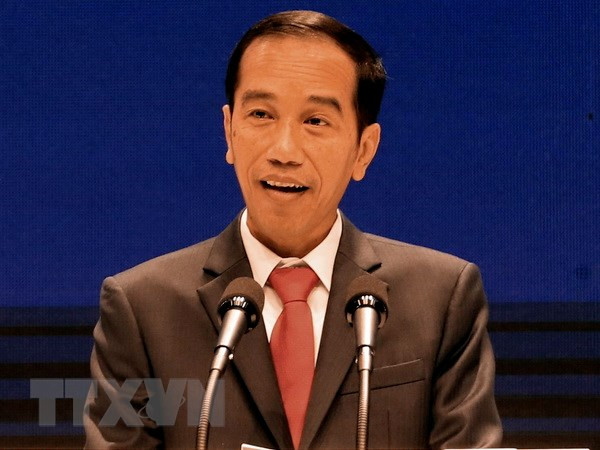 印度尼西亚将承办第35届国际妇女理事会会议 ảnh 2