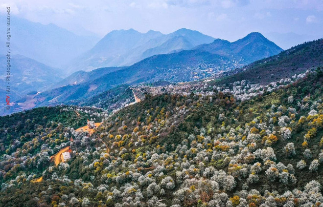 来莱州省探索普塔岭的山林之美 ảnh 2 来莱州省探索普塔岭的山林之美 ảnh 2