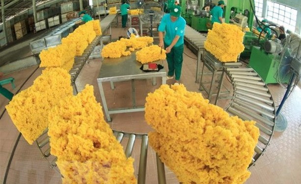越南与澳大利亚双边贸易强劲增长 ảnh 1 越南与澳大利亚双边贸易强劲增长 ảnh 1