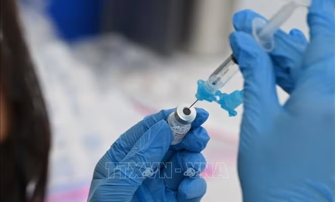 越南胡志明市即将为5至12岁以下儿童接种新冠疫苗 ảnh 1