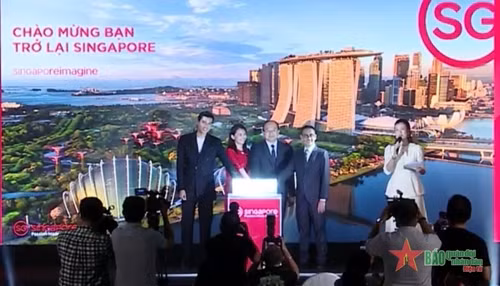 90%新加坡人希望疫情后期赴越南旅游 ảnh 1