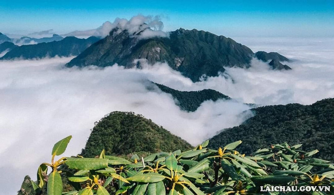 探索莱州省峰峦雄伟的山峰 ảnh 5