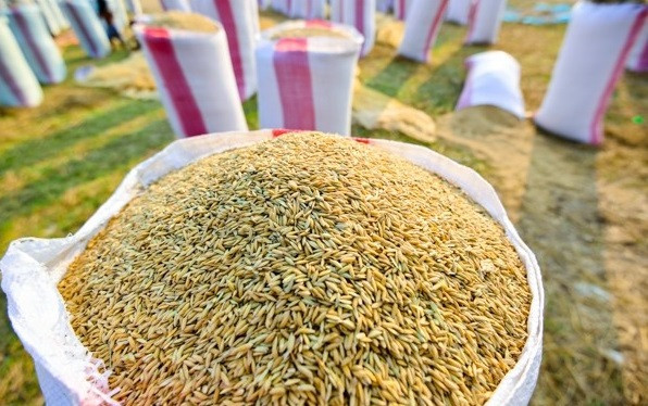 自2022年4月起生效的新经济政策 ảnh 1 自2022年4月起生效的新经济政策 ảnh 1