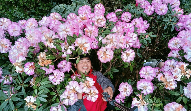 来莱州省探索普塔岭的山林之美 ảnh 3 来莱州省探索普塔岭的山林之美 ảnh 3