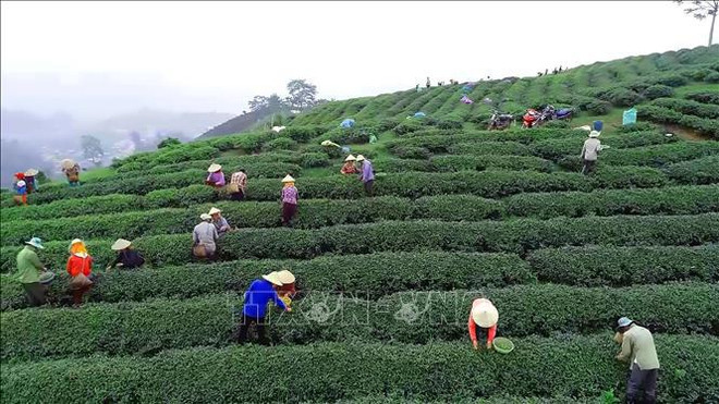 📝时评:统一经济政策与社会政策 ảnh 4 📝时评:统一经济政策与社会政策 ảnh 4