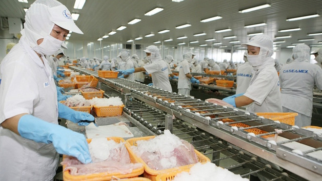 水产品出口的反弹力 ảnh 1