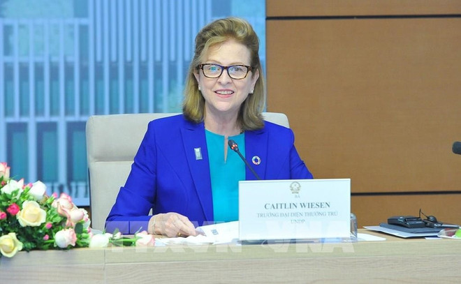 联合国开发计划署驻越代表:越南或将成为绿色增长典范 ảnh 2 联合国开发计划署驻越代表:越南或将成为绿色增长典范 ảnh 2