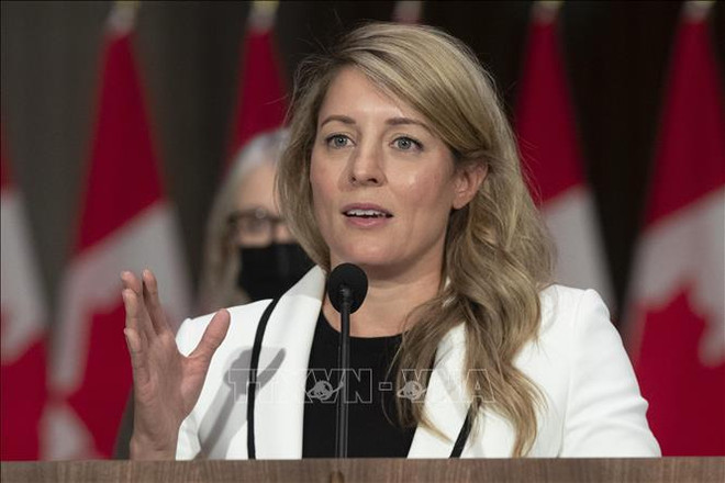 加拿大专家坚信越南将成为颇具吸引力的战略伙伴 ảnh 1