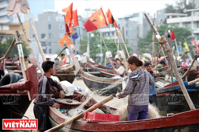 岑山 ——清化省山水迷人之地 ảnh 24 岑山 ——清化省山水迷人之地 ảnh 24