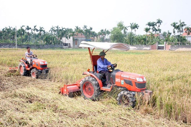 越南农业部门保障粮食安全改变农村面貌 ảnh 1 越南农业部门保障粮食安全改变农村面貌 ảnh 1
