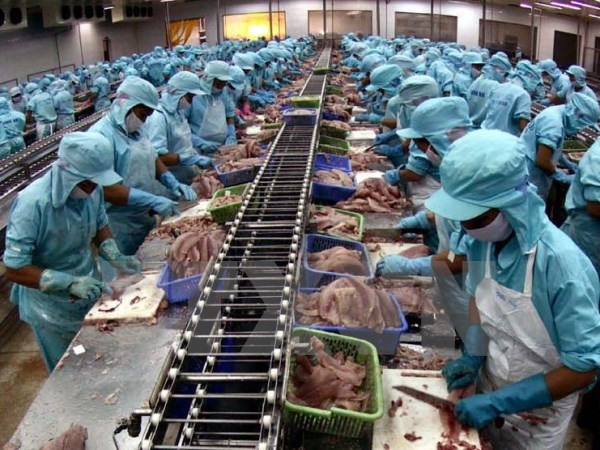 VASEP建议下调越南水产出口企业的贷款利率 ảnh 1 VASEP建议下调越南水产出口企业的贷款利率 ảnh 1