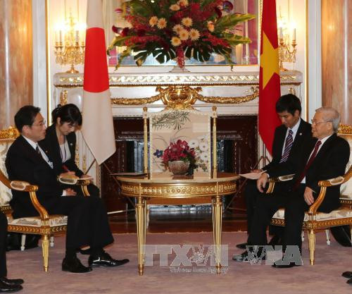 越共中央总书记阮富仲会见日本外务大臣岸田文雄 ảnh 1