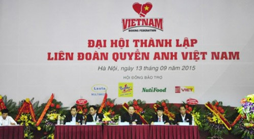 越南拳击联合会正式成立 ảnh 1