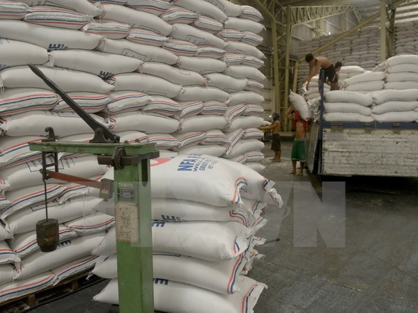 东盟加三一致同意加强农林领域的合作 ảnh 1