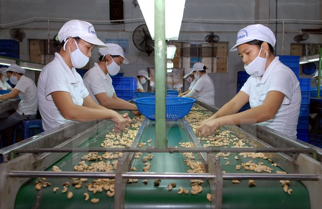 越南与意大利经济合作研讨会在罗马举行 ảnh 1 越南与意大利经济合作研讨会在罗马举行 ảnh 1