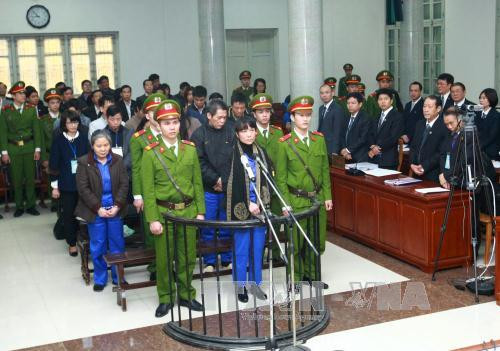 胡志明市法院对越南农业与农村发展银行诈骗和非法占有他人财产案作出判决 ảnh 1