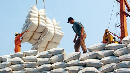 越南大米出口量达600万吨以上 ảnh 1 越南大米出口量达600万吨以上 ảnh 1