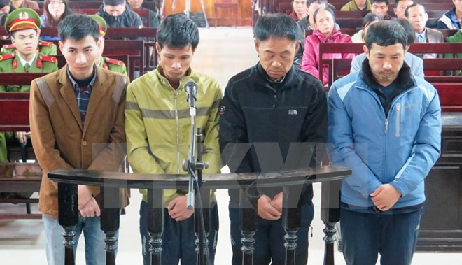 越南河静省脚手架坍塌案：4名被告人被判处30个月至42个月不等的有期徒刑 ảnh 1