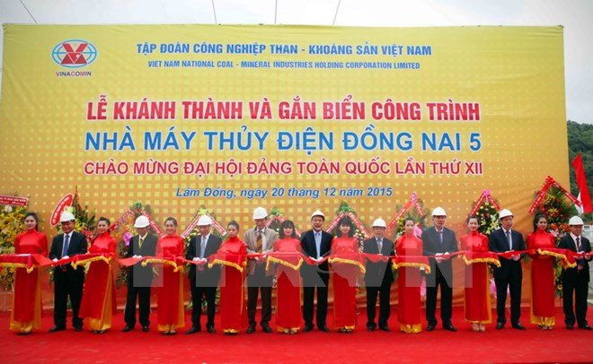 林同省5号同奈水电厂正式落成 ảnh 1 林同省5号同奈水电厂正式落成 ảnh 1