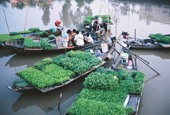 2015年后江省接待游客量达20万人次 ảnh 1 2015年后江省接待游客量达20万人次 ảnh 1