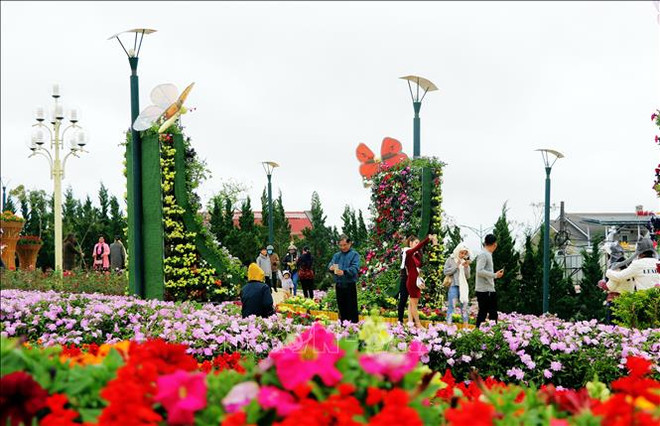 4·30和5·1假期大叻预计接待游客量达18万人次 ảnh 1