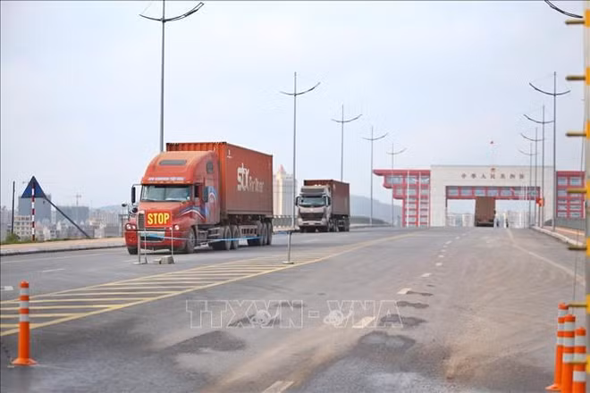 广宁省芒街国际口岸正式恢复通关 ảnh 1