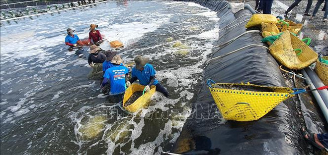 朔庄市吸引投资资金 发展城市基础设施 ảnh 3 朔庄市吸引投资资金 发展城市基础设施 ảnh 3