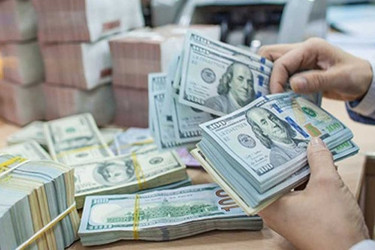 4月20日上午越盾对美元汇率中间价下调5越盾 ảnh 1