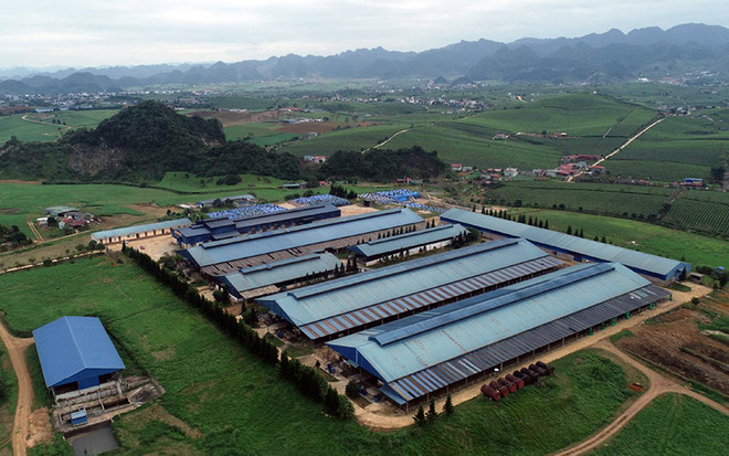 吸引资本投入农产品加工业 ảnh 1 吸引资本投入农产品加工业 ảnh 1