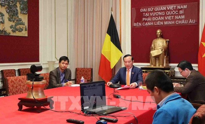 平阳省鼓励比利时企业前来投资 ảnh 1