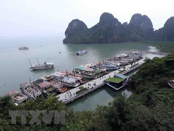 新冠大流行后吉婆岛旅游业复苏 ảnh 1 新冠大流行后吉婆岛旅游业复苏 ảnh 1