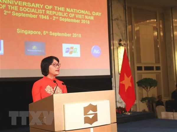 越新合作为东盟共同体的团结与发展做出积极贡献 ảnh 1 越新合作为东盟共同体的团结与发展做出积极贡献 ảnh 1