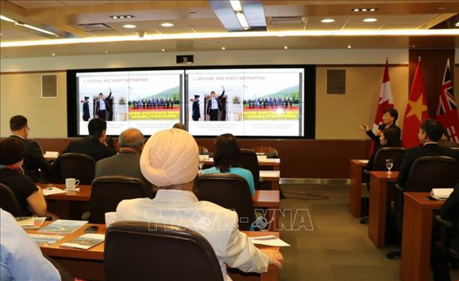 越南岘港与加拿大各大城市促进贸易与投资合作 ảnh 1