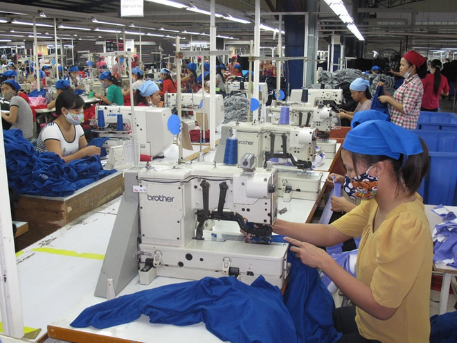 永福省部分工业区企业入驻达100% ảnh 1