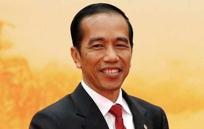 印度尼西亚总统即将对越南进行国事访问 ảnh 1 印度尼西亚总统即将对越南进行国事访问 ảnh 1