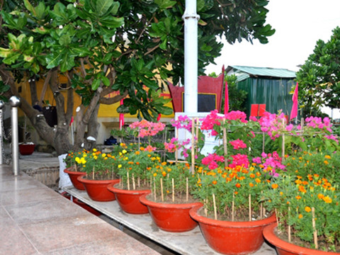 武元甲大将公园在长沙群岛竣工落成 ảnh 1 武元甲大将公园在长沙群岛竣工落成 ảnh 1