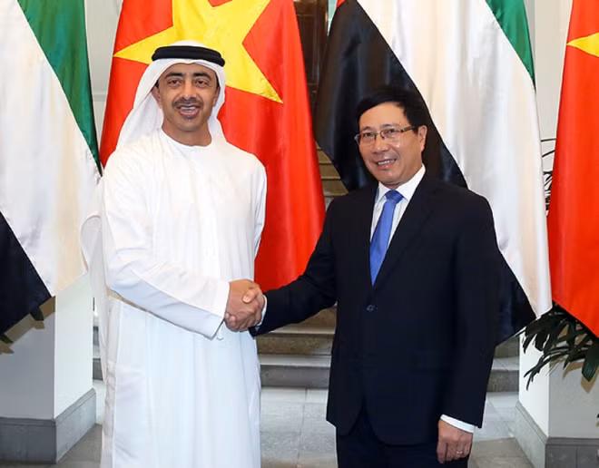 政府副总理兼外长范平明与阿联酋外交与国际合作部部长进行会谈 ảnh 1