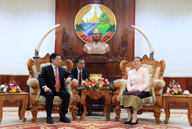 老挝国会和政府领导人高度评价越南国家审计署的帮助 ảnh 2