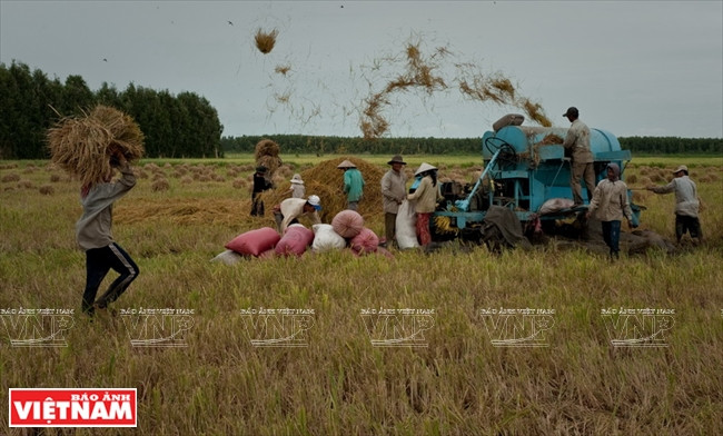 安江——平安边境省 ảnh 7 安江——平安边境省 ảnh 7