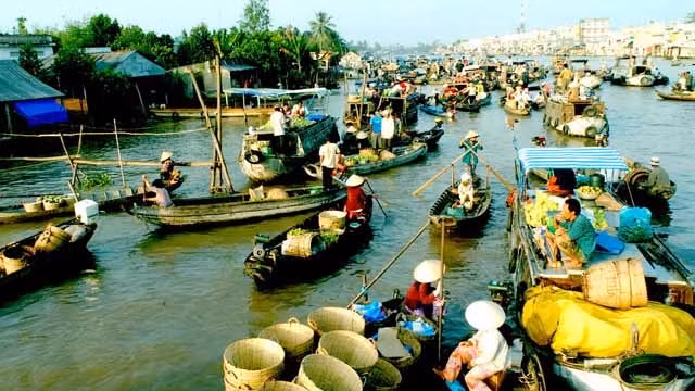 越南前江省生态旅游吸引游客的关注 ảnh 1