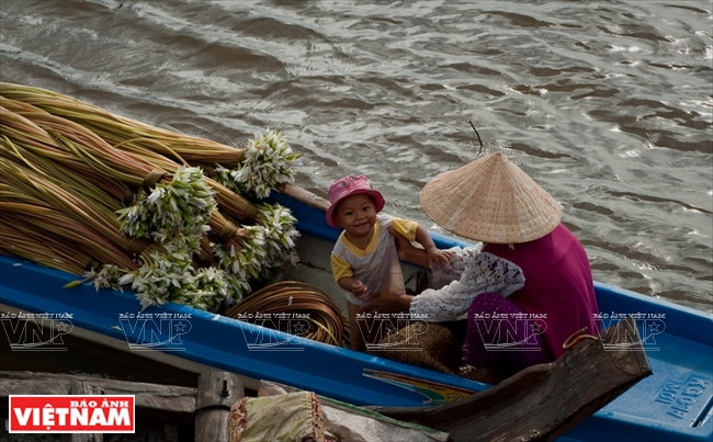 安江——平安边境省 ảnh 14 安江——平安边境省 ảnh 14