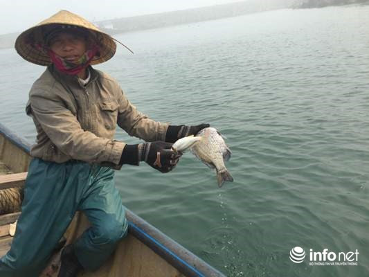 越南中部四省遭受环境事故一年后 :人民的生活正逐渐恢复正常 ảnh 1 越南中部四省遭受环境事故一年后 :人民的生活正逐渐恢复正常 ảnh 1