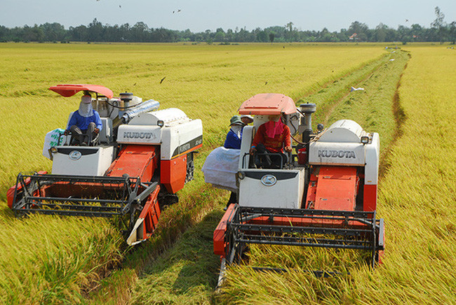 越南颁布决议 鼓励和促进企业对农业进行投资 ảnh 1
