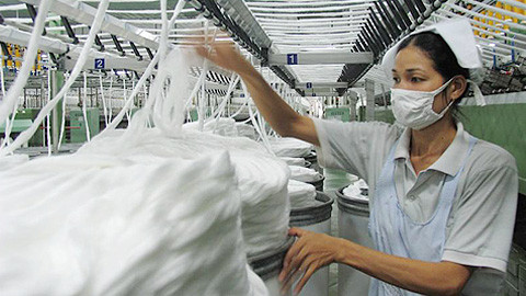 越南是美国棉花产业的重要市场 ảnh 1 越南是美国棉花产业的重要市场 ảnh 1